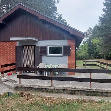 House For Us Vinci Villa Buitenkant foto